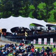 Custom shape and size stretch tent