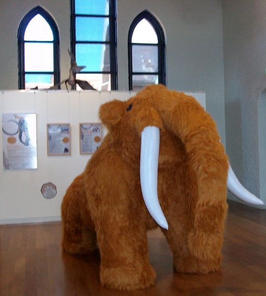 2018 year end Inflatable Mammoth - Australian Fossil and Mineral Museum