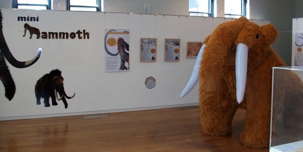 Inflatable Mammoth - Australian Fossil and Mineral Museum