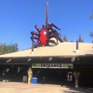 Inflatable Shapes - Fresno Chaffee Zoo Spider