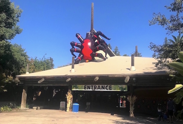 Inflatable Shapes - Fresno Chaffee Zoo Spider