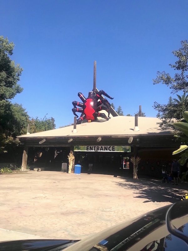 Inflatable Shapes - Fresno Chaffee Zoo Spider