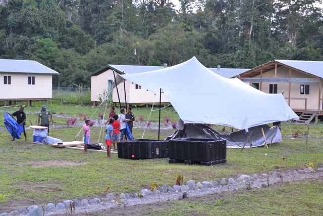 STRETCH TENT SEAM - School in a box