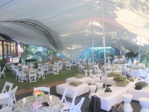 Marquee for wedding