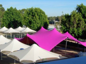 Pink freeform stretch tent