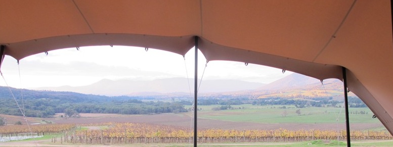 Stretch freeform tents vineyard and winery weddings